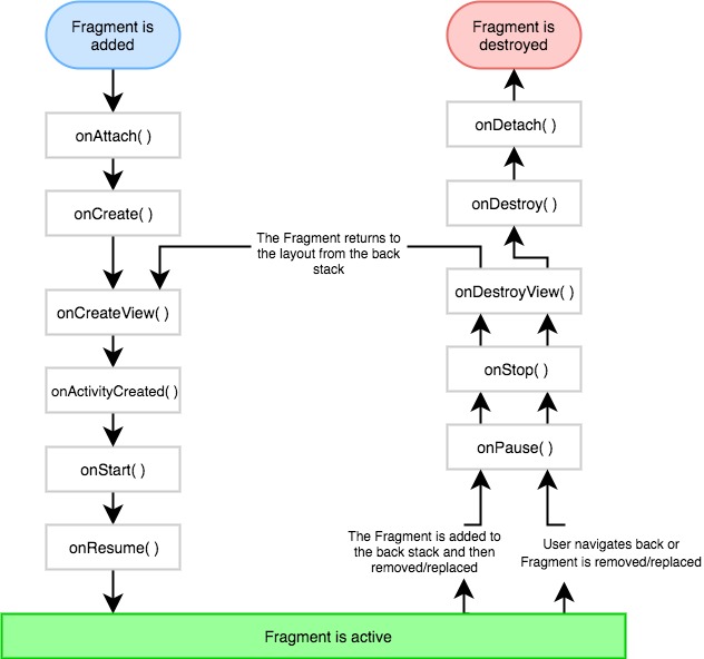 android studio fragment activity cycle