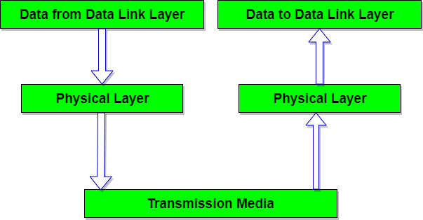 Physical Layer in ISO-OSI Model