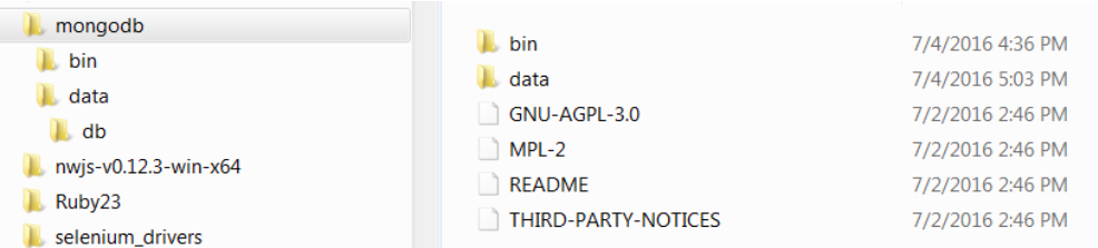 Installing MongoDB on Windows